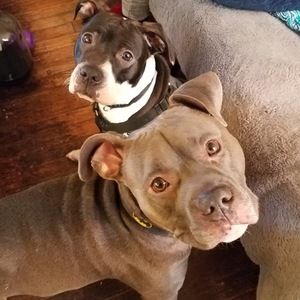 Meet your Posher, My name is jon